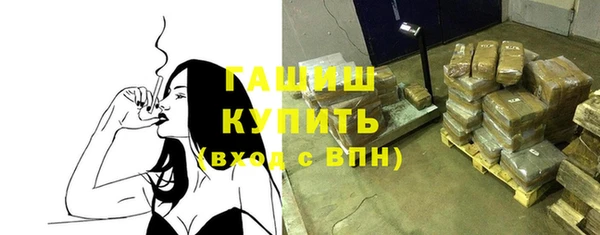 индика Богородск