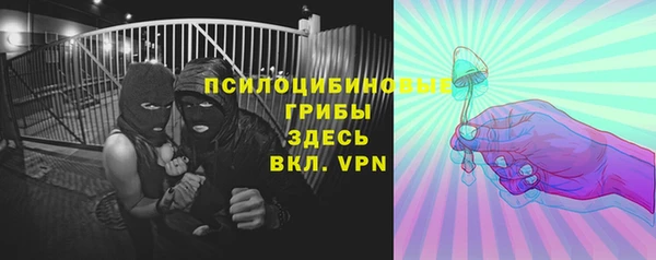 индика Богородск