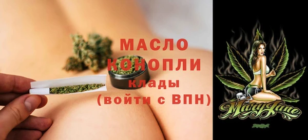 индика Богородск