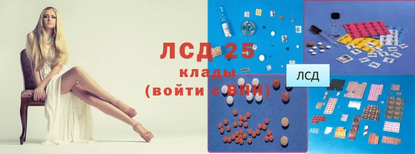 индика Богородск