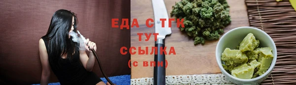 индика Богородск