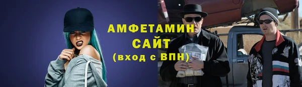 индика Богородск