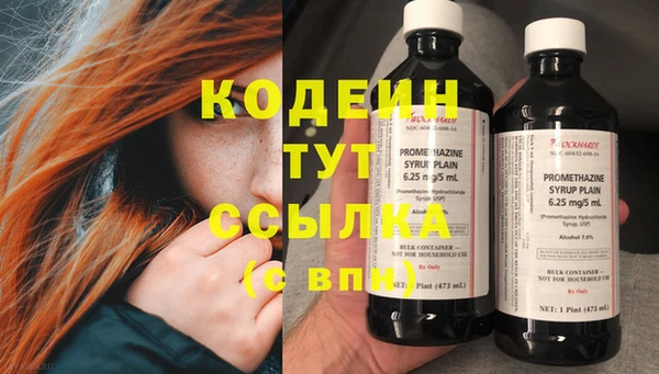 индика Богородск