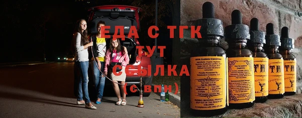 индика Богородск